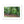 Deep forest landscape