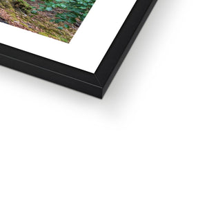Deep forest landscape