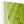 Leaf droplets 4